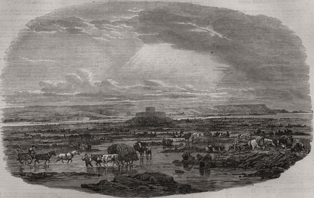 The Calais fetes. Gathering the Vraic or sea-weed. Pas-de-Calais 1852 print